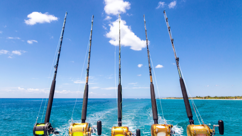 Alabama Gulf Coast: 6 Fishing Charters for a Day on the Water | Bellator